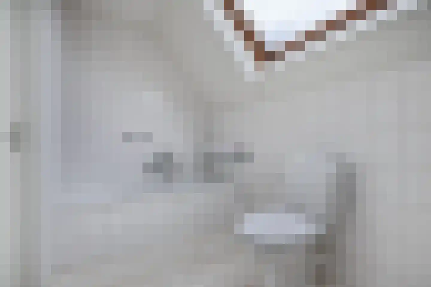 Het eenspan 20 Steenwijk thumbnail 33