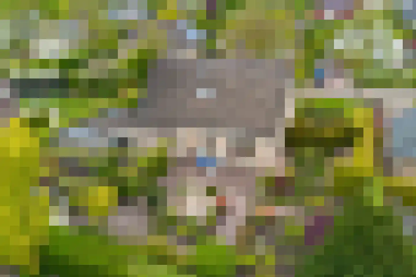 Het eenspan 20 Steenwijk thumbnail 36
