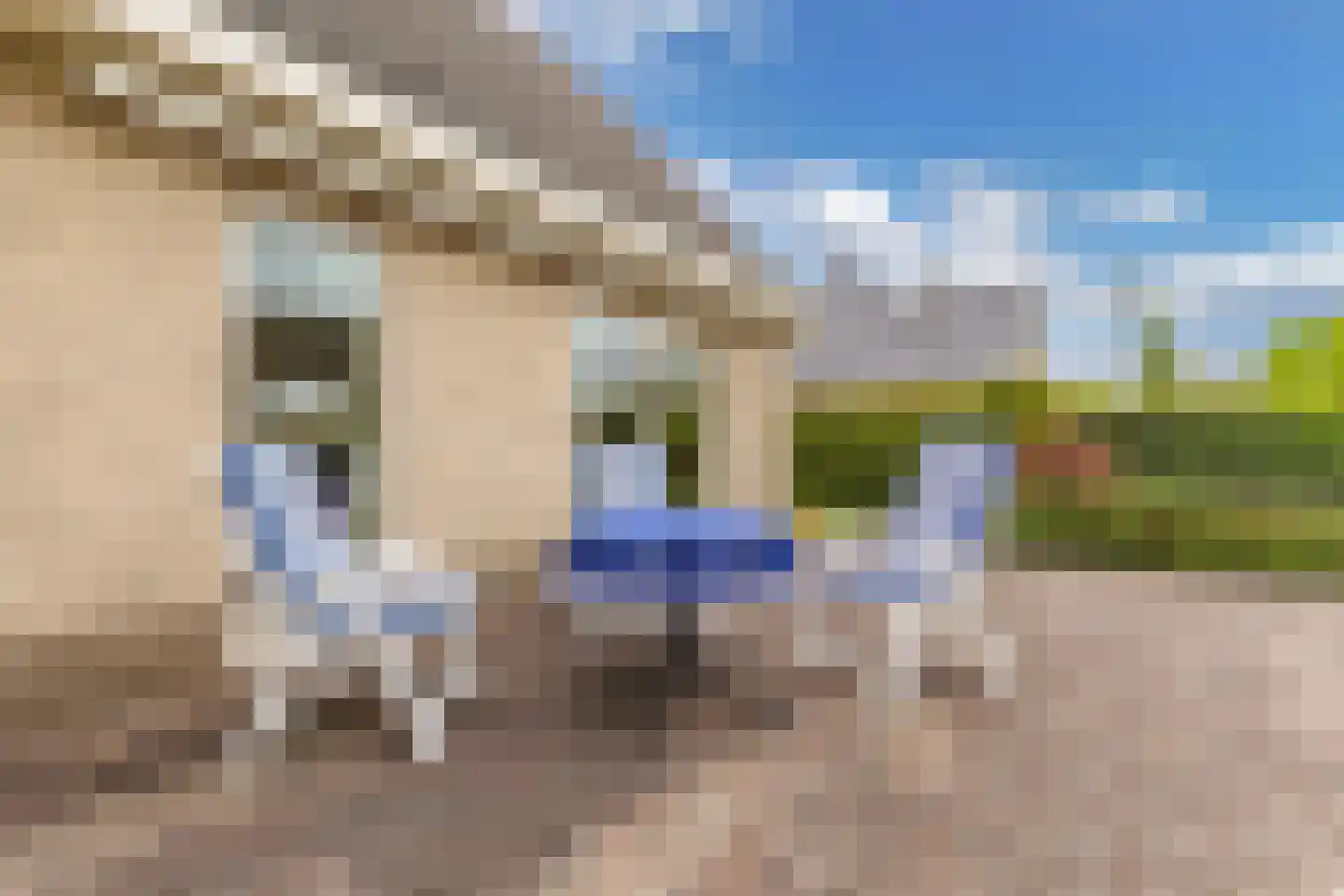 Het eenspan 20 Steenwijk thumbnail 38