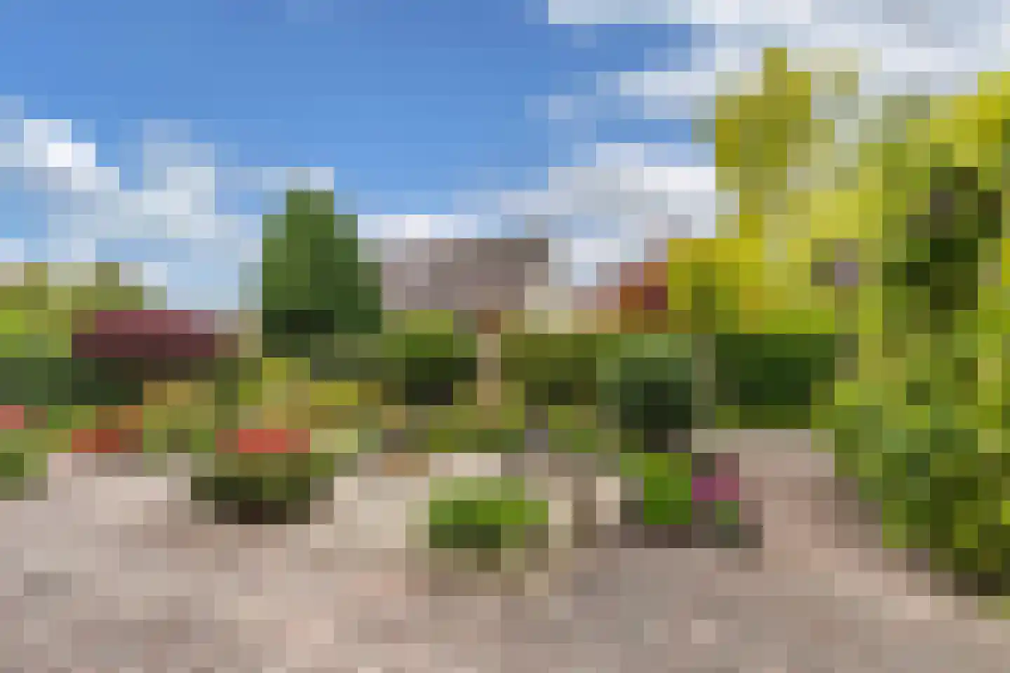 Het eenspan 20 Steenwijk thumbnail 39