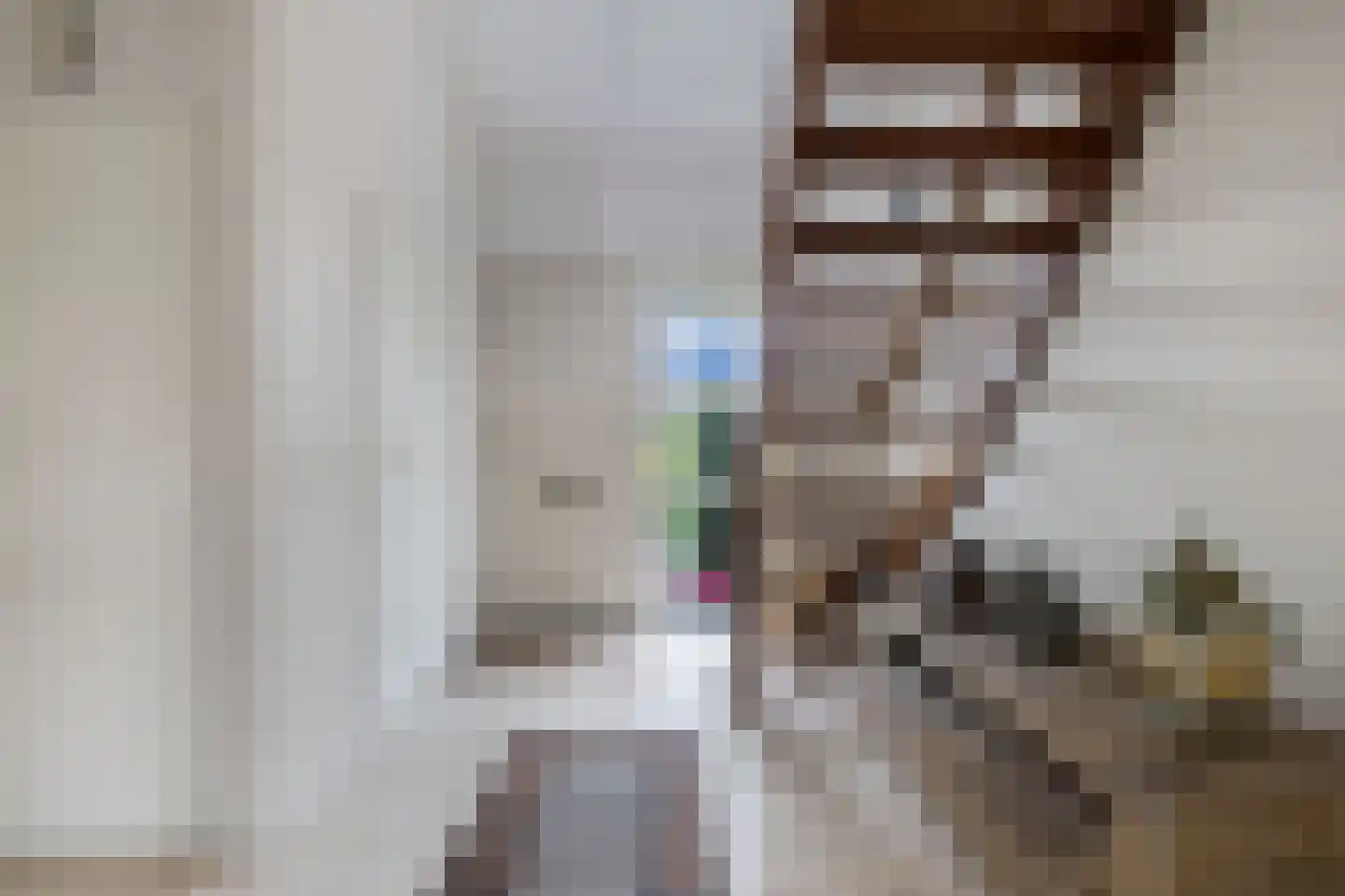 Het eenspan 20 Steenwijk thumbnail 4