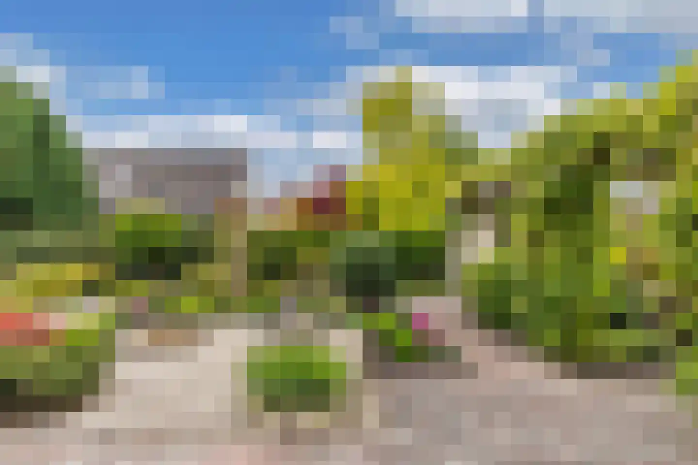Het eenspan 20 Steenwijk thumbnail 40