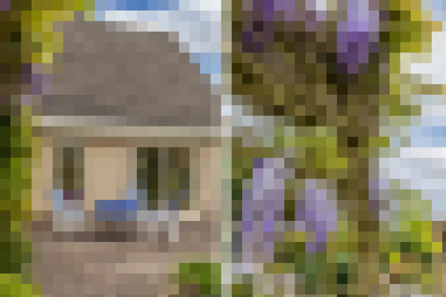 Het eenspan 20 Steenwijk thumbnail 41