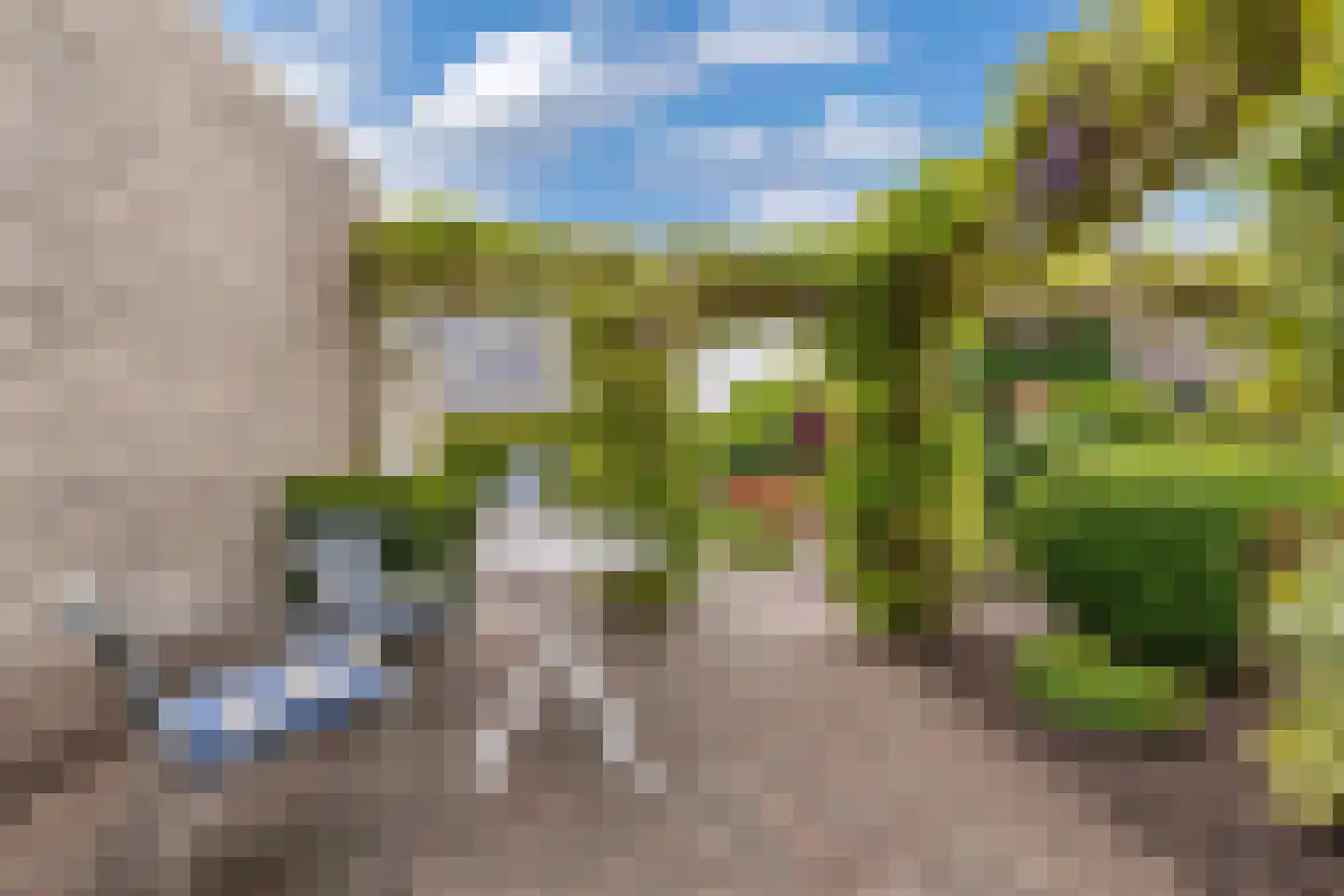 Het eenspan 20 Steenwijk thumbnail 42