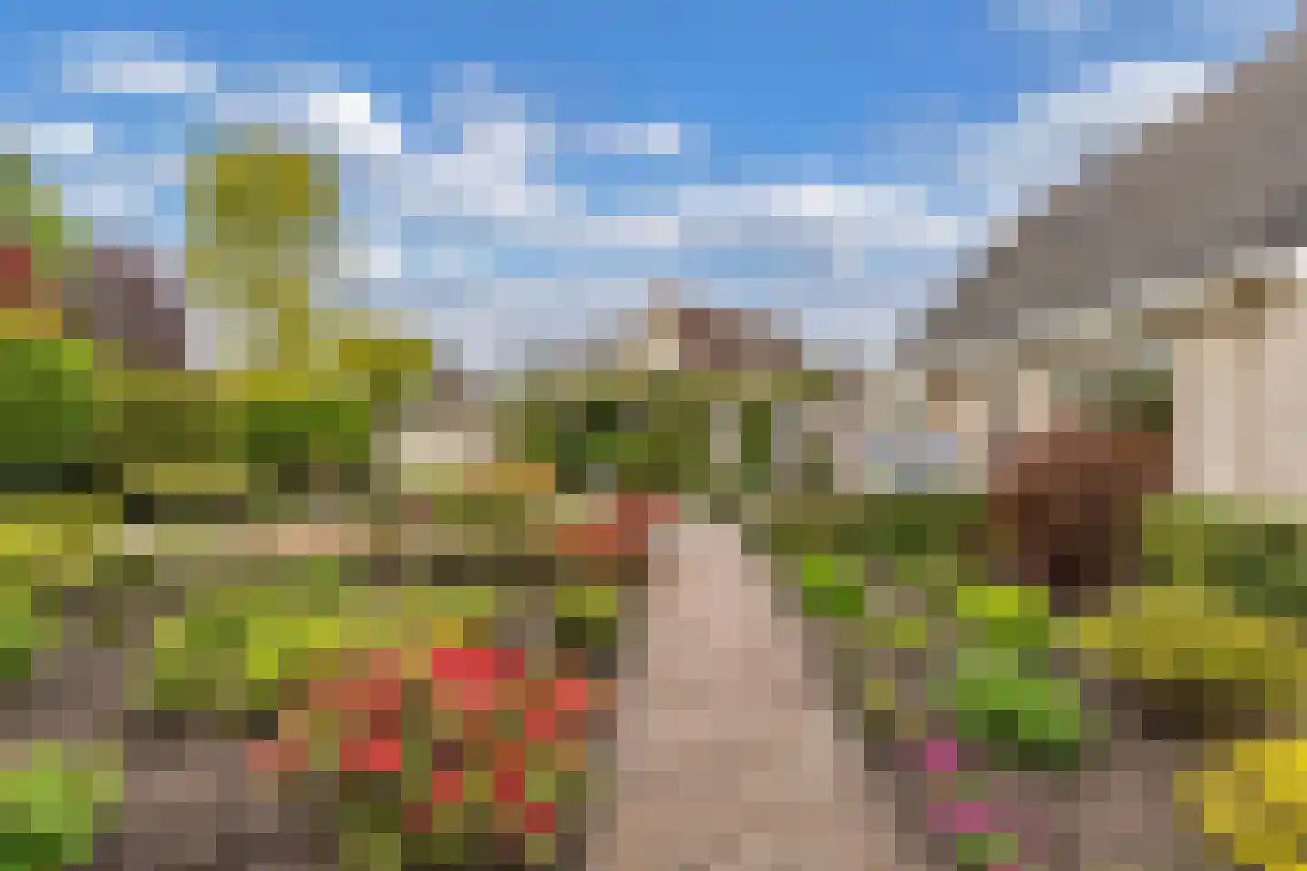 Het eenspan 20 Steenwijk thumbnail 43