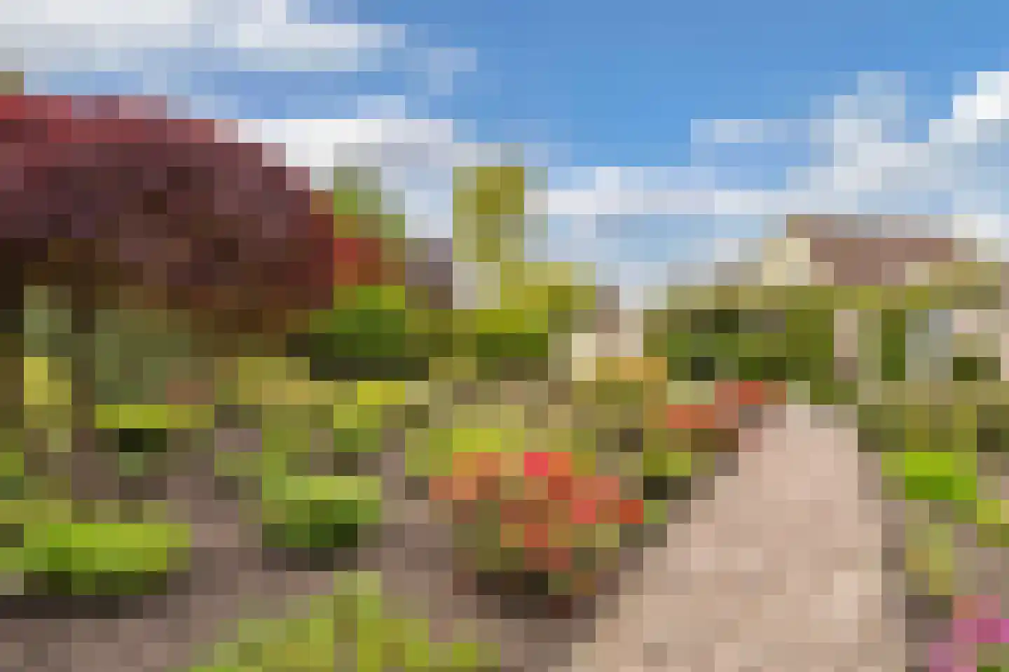 Het eenspan 20 Steenwijk thumbnail 44