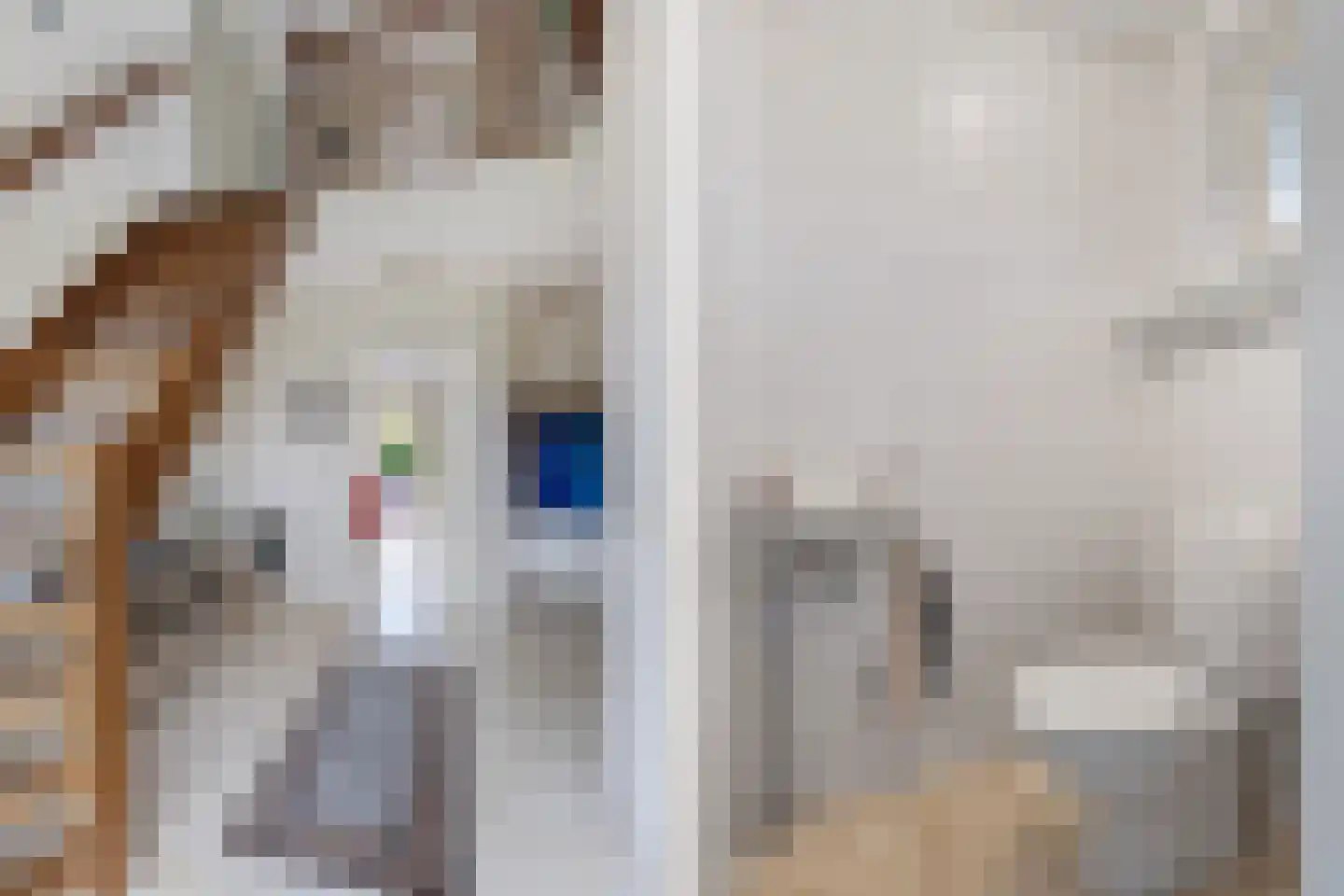 Het eenspan 20 Steenwijk thumbnail 5