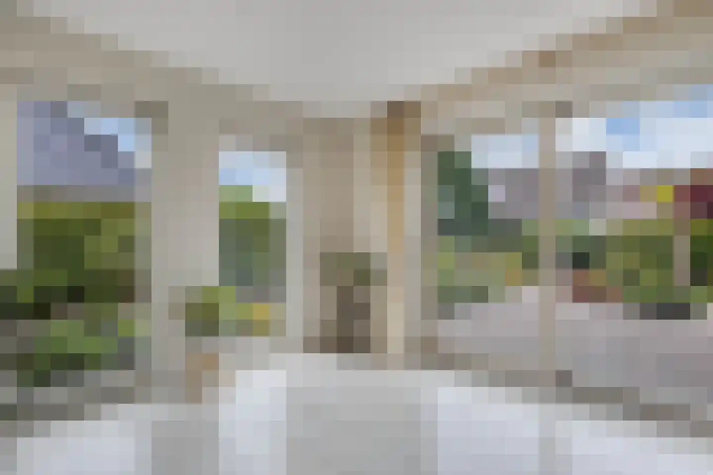 Het eenspan 20 Steenwijk thumbnail 9