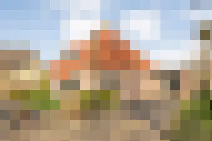 Het eenspan 29 Steenwijk