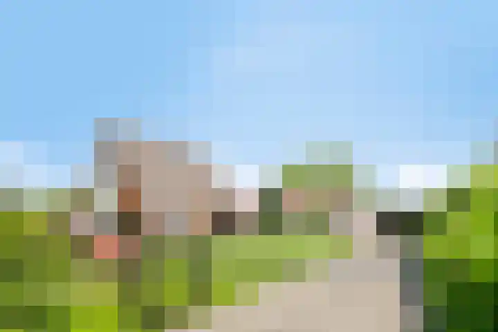 Het eenspan 35 Steenwijk