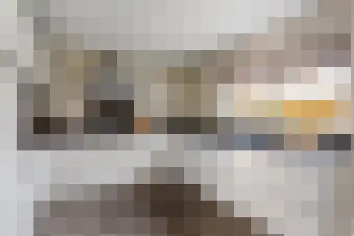 het Eertman 32 Weerselo thumbnail 10