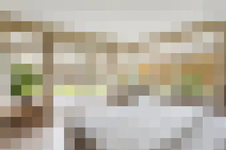 het Eertman 32 Weerselo thumbnail 12