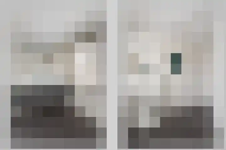het Eertman 32 Weerselo thumbnail 13