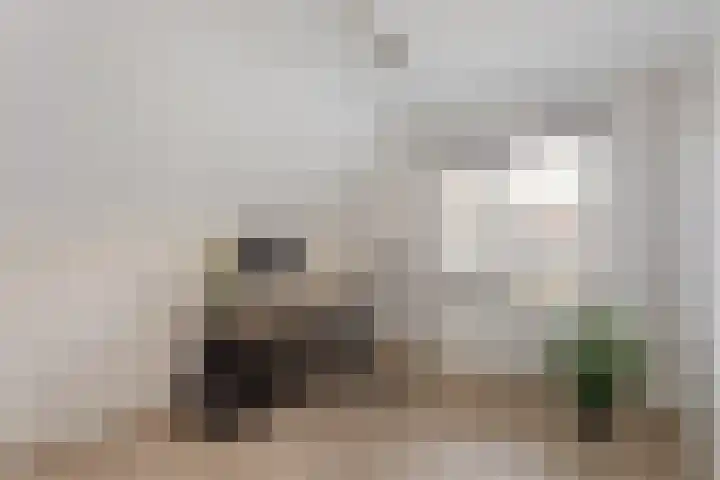 het Eertman 32 Weerselo thumbnail 16