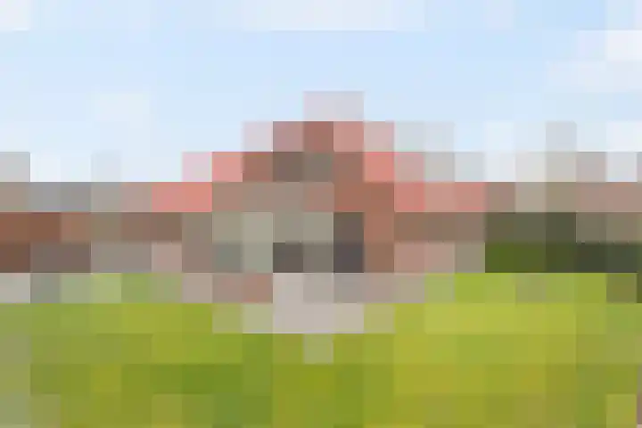 het Eertman 32 Weerselo thumbnail 19