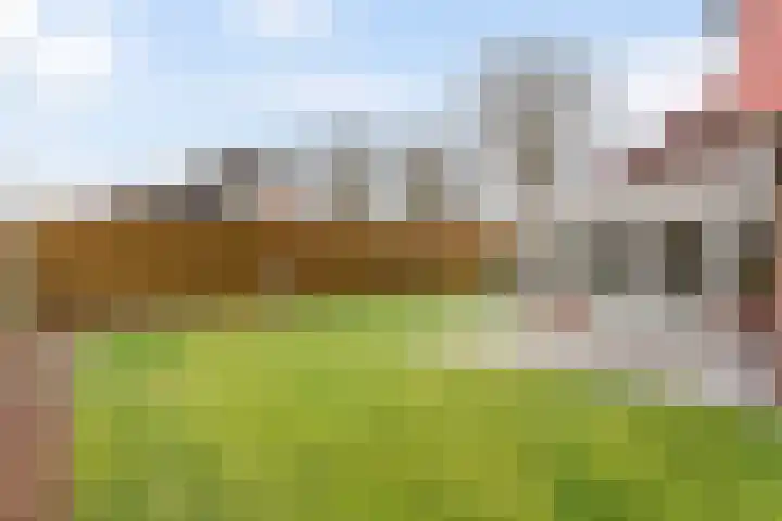 het Eertman 32 Weerselo thumbnail 20