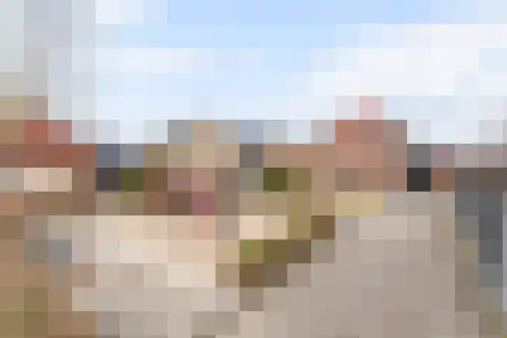 het Eertman 32 Weerselo thumbnail 21
