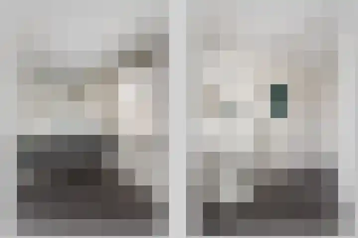 het Eertman 32 Weerselo thumbnail 4