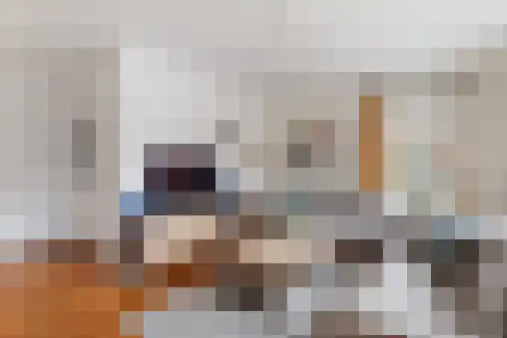 het Eertman 32 Weerselo thumbnail 7