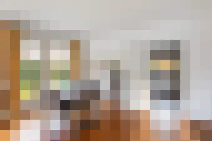 het Eertman 32 Weerselo thumbnail 9