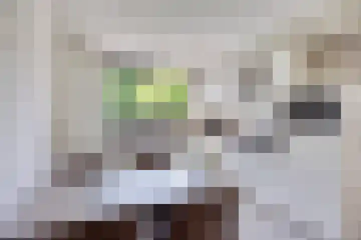 het Egbertink 11 Losser thumbnail 18