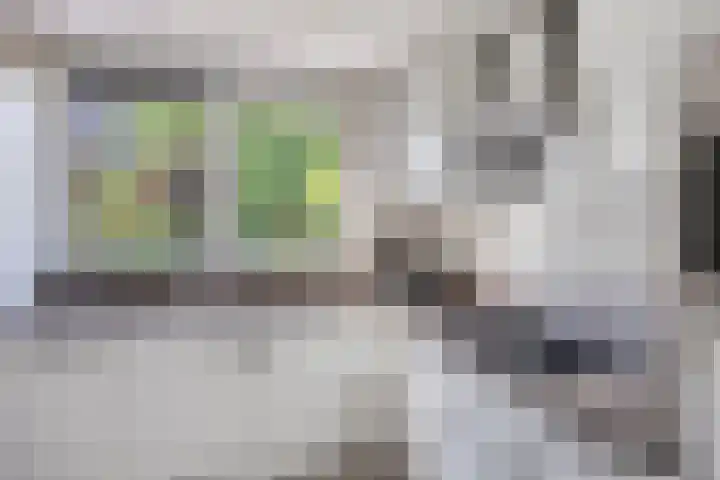 het Egbertink 11 Losser thumbnail 20