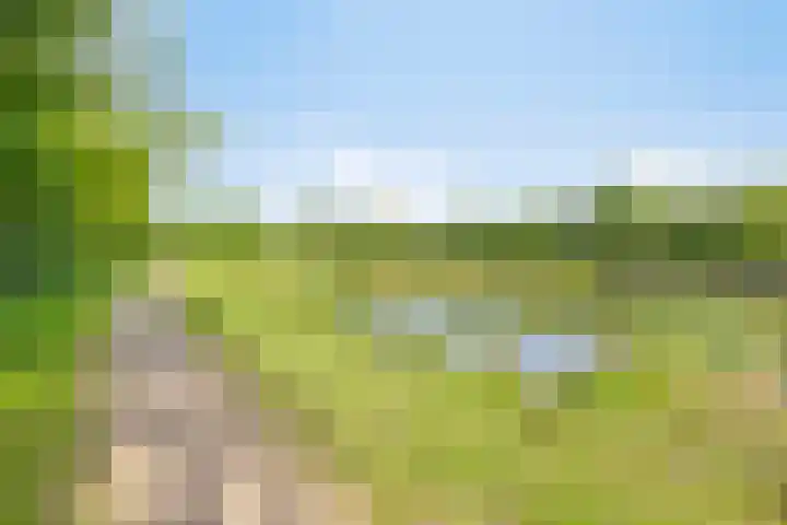 het Egbertink 11 Losser thumbnail 47