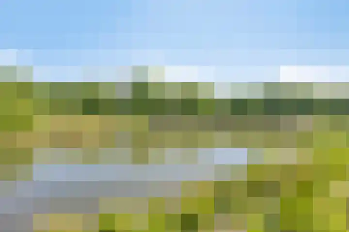het Egbertink 11 Losser thumbnail 48