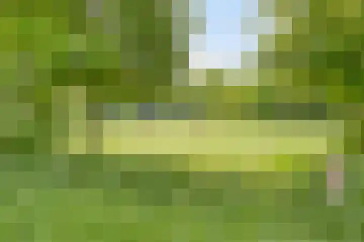 het Egbertink 11 Losser thumbnail 49