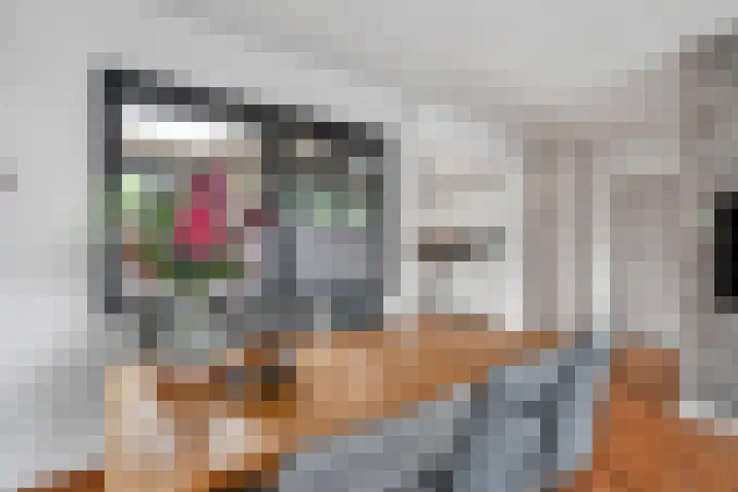 het Egbertink 132 Losser thumbnail 13