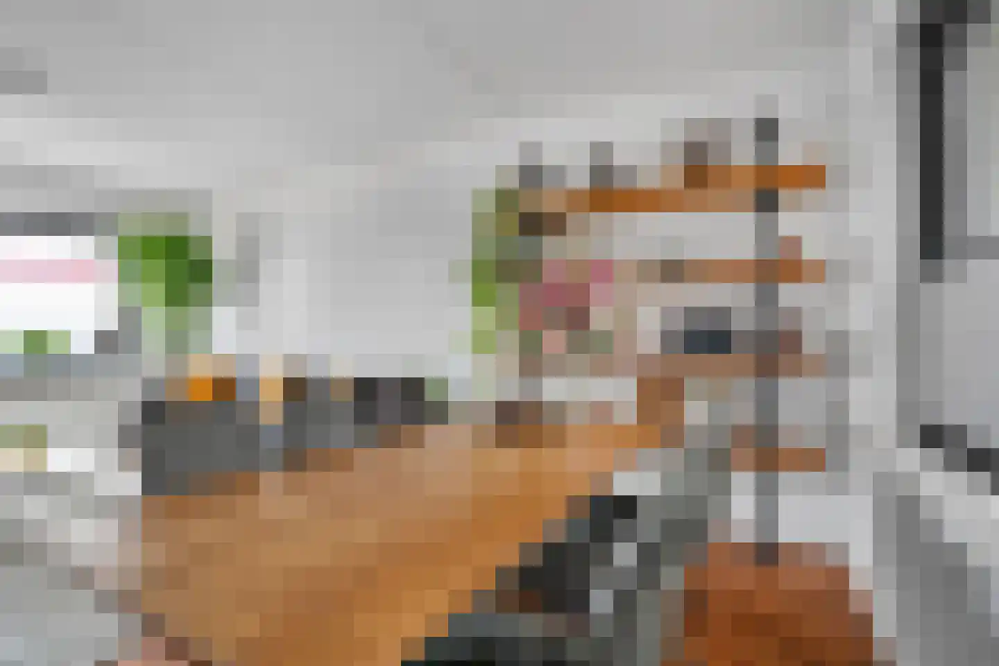 het Egbertink 132 Losser thumbnail 15