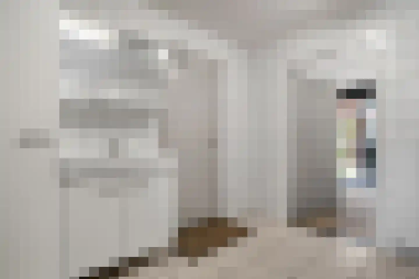 het Egbertink 132 Losser thumbnail 24