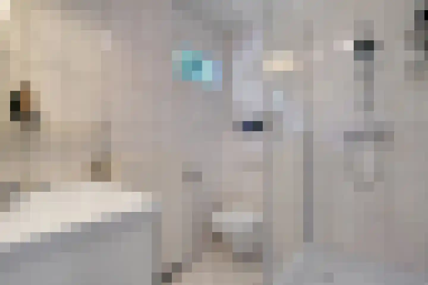 het Egbertink 132 Losser thumbnail 31