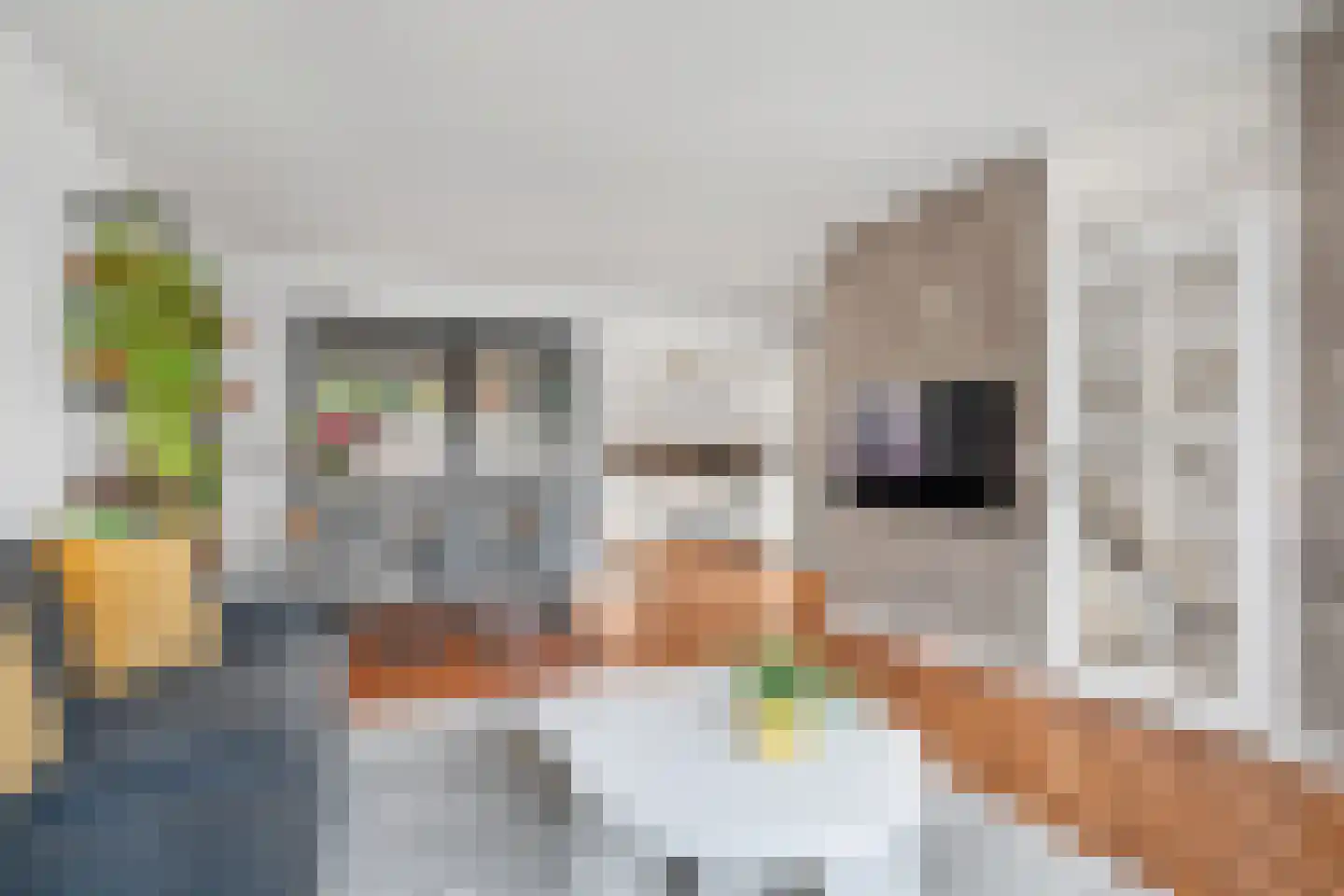 het Egbertink 132 Losser thumbnail 4