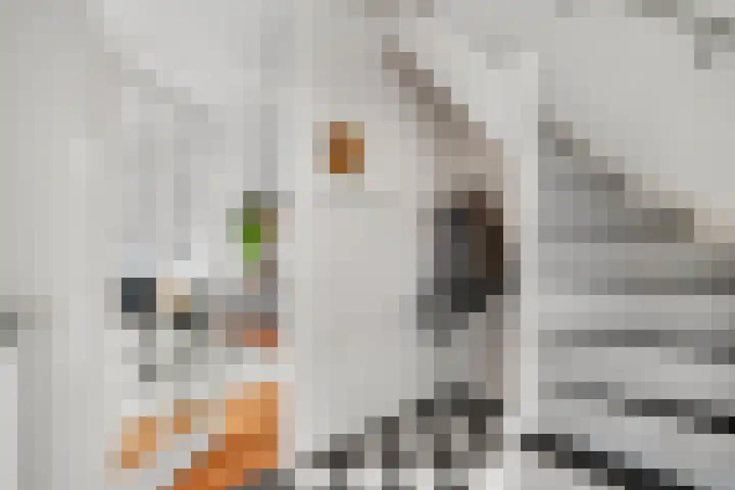 het Egbertink 132 Losser thumbnail 7