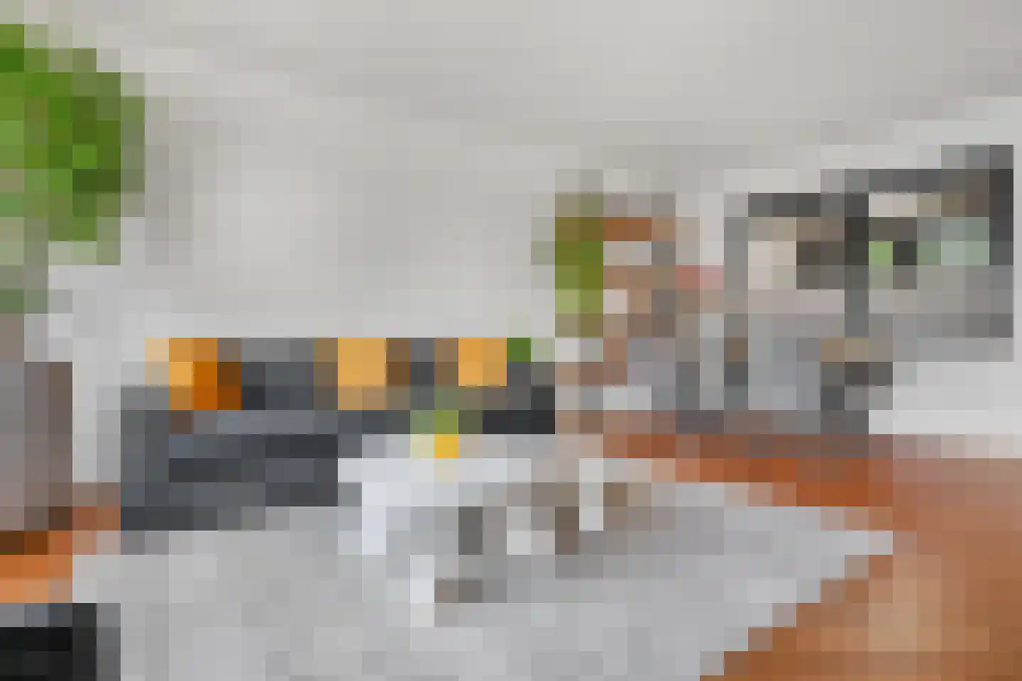het Egbertink 132 Losser thumbnail 9