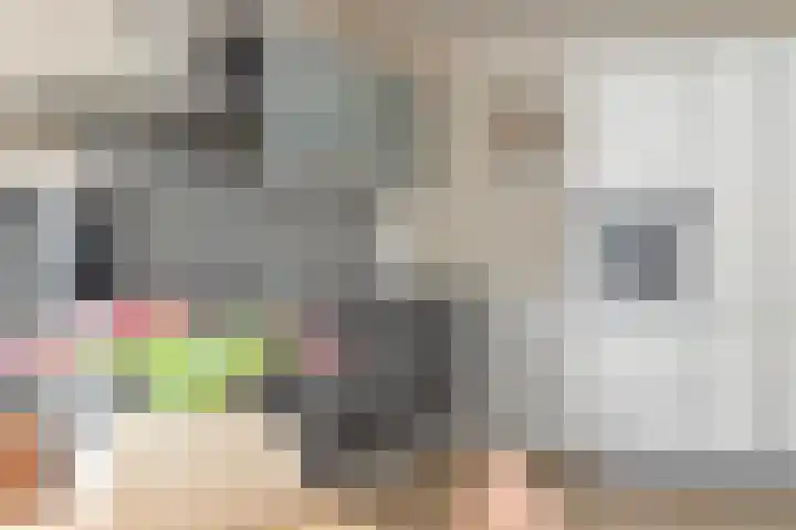 het Egbertink 136 Losser thumbnail 16