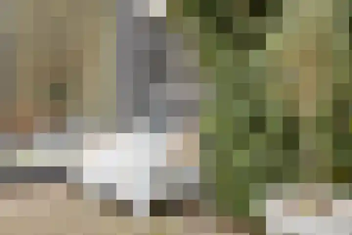 het Egbertink 136 Losser thumbnail 32