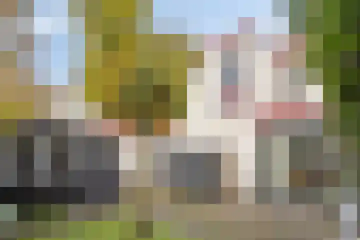 het Egbertink 136 Losser thumbnail 37