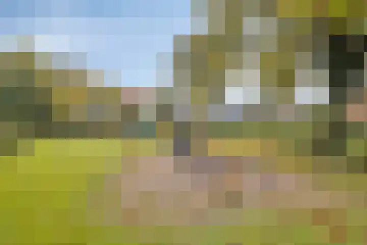 het Egbertink 136 Losser thumbnail 38