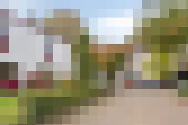 het Egbertink 136 Losser thumbnail 5