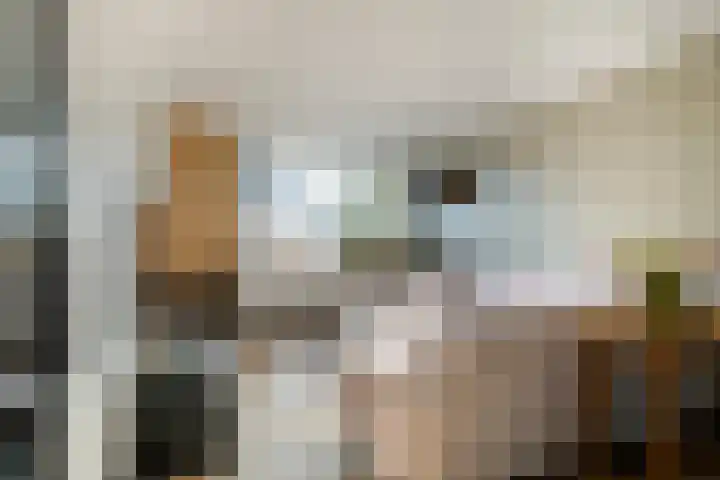 het Egbertink 16 Losser thumbnail 10