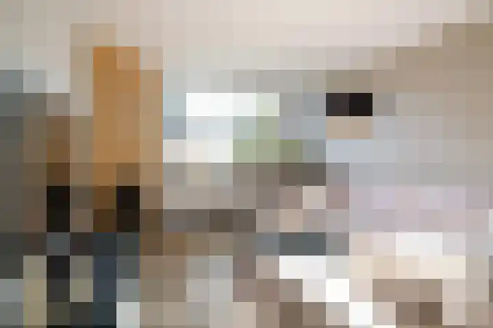 het Egbertink 16 Losser thumbnail 11