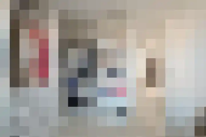 het Egbertink 16 Losser thumbnail 26