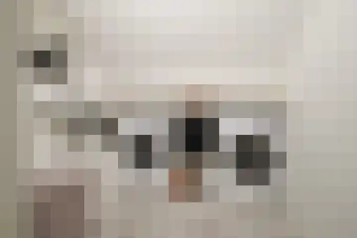 het Egbertink 16 Losser thumbnail 32