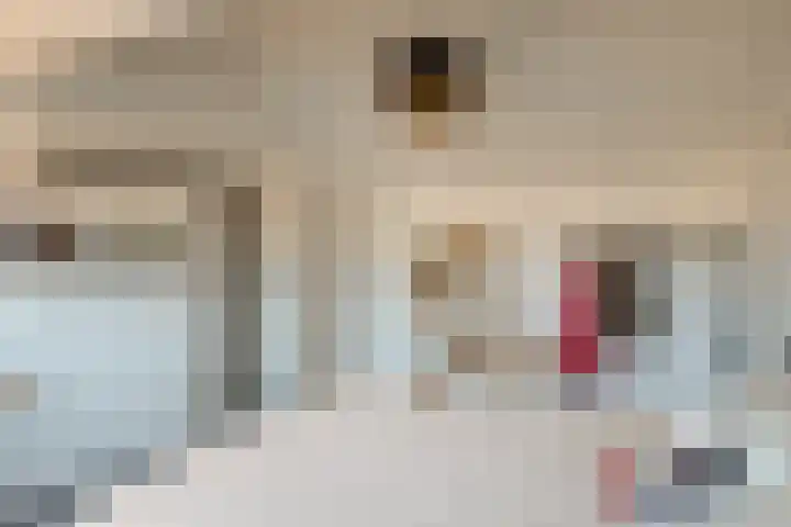 het Egbertink 16 Losser thumbnail 35