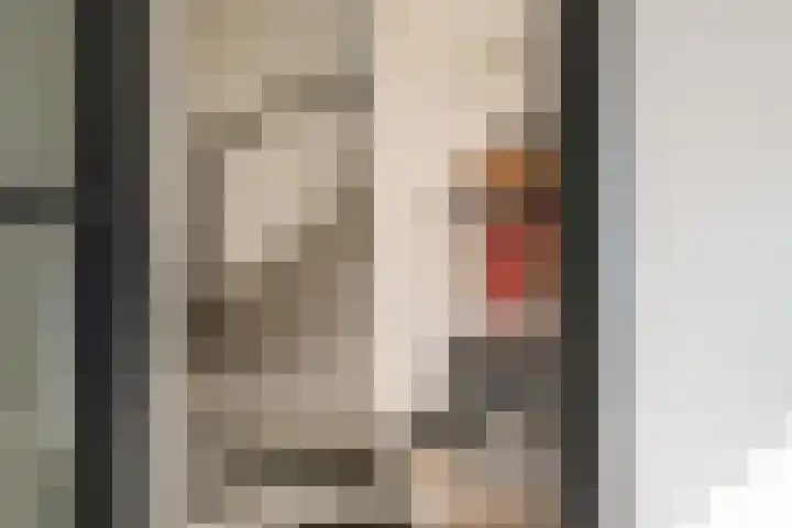 het Egbertink 16 Losser thumbnail 7