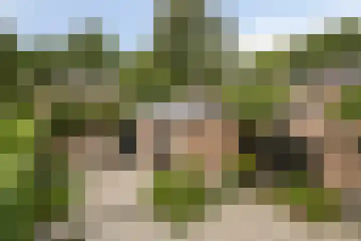 het Egbertink 16 Losser thumbnail 9
