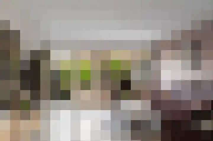 Het Eiland 2 Warnsveld foto 3