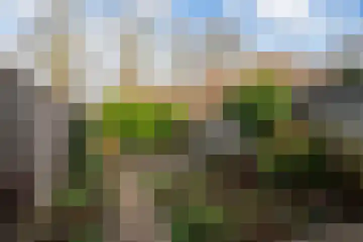 Het Eiland 2 Warnsveld thumbnail 30